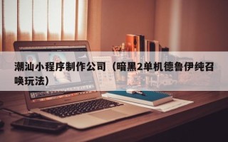 孟州潮汕小程序制作公司（暗黑2单机德鲁伊纯召唤玩法）